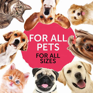 Precios al por mayor Suplementos naturales para perros Multivitamina líquida Gota Perro Gato Vitaminas para la salud de las articulaciones inmunitarias del intestino del perro - Product Image 6