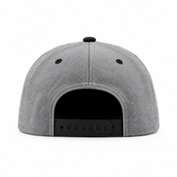 Casquette personnalisée pour entreprise, broderie 6 panneaux, visière plate, snapback, logo 3D, style hip-hop structuré, unisexe, vente en gros, OEM