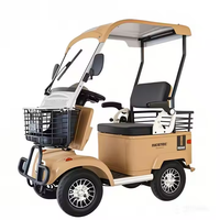 Scooter de mobilité électrique 2 places Minibus avec toit de voiturette de golf personnalisé Nouveau design 800W Digital Smart EBike Moteur de moyeu arrière à vendre