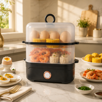 Cuiseur à œufs électrique, capacité 16 œufs, cuiseur vapeur double couche, arrêt automatique, pour la maison, l'hôtel, le camping-car