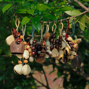 Pendentif coquille de fruit de guérison, sonnette à grincement en graines naturelles faites à la main, charme porte-bonheur en forme de gousse de fruit, artisanat du Yunnan, cadeau, ornement - Product Image 3
