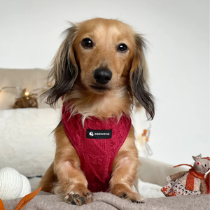 ברתמת כלב רך סרוג לכוד סט הליכה גור מתכוונן עם מחזיק תיק פסולת עבור כלבים בינוניים קטנים לחיות מחמד - Product Image 3