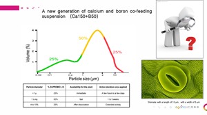 Calcio boro liquido sospensione Ca150 B50 Formula  fertilizzante organico senza nitrato e ad alto contenuto minerale Ca boro - Product Image 5