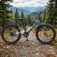 Mini vélo 20 pouces pour enfants, VTT, livraison directe d'usine, styles populaires de VTT