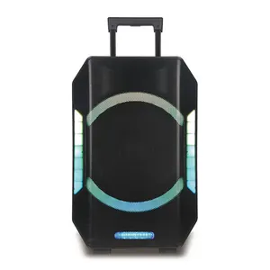 Mới nhất 15 inch woofer ngọn lửa ánh sáng di động xe đẩy karaoke bên Hộp loa không dây với DJ âm nhạc