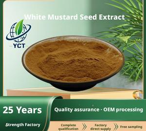 Extrait de graines de moutarde blanche 10:1, qualité alimentaire, extrait de moutarde, poudre de moutarde blanche, vente en gros, livraison gratuite, qualité assurée - Product Image 2