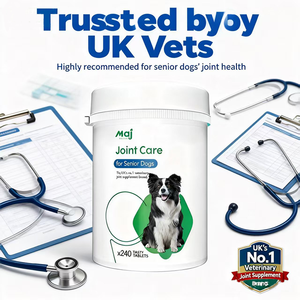 Suplemento Masticable para la Salud de Cadera y Articulaciones de Mascotas, con Glucosamina de Mejillón de Labio Verde, OEM - Product Image 6