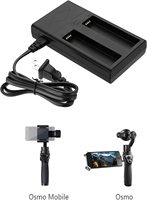Chargeur universel double port pour stabilisateur portable DJI Osmo Mobile HB01-522365, chargeur de batterie Li-ion 12,6 V