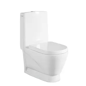 Guangdong sanitary ware toilet Golden Dragon toilet china wc with pedetal basin