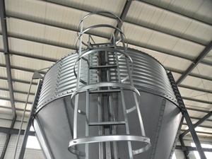 Mới Tự Động Mini Thép Silo Thiết Bị Cho Trang Trại Cho Hạt Gia Cầm Thức Ăn Lúa Mì Chất Thải Lưu Trữ Mạ Kẽm Sử Dụng Silo Cho Các Trang Trại Nhỏ - Product Image 3