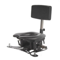 Chaise SM pour facesitting, d'entraînement érotique, pour esclave de toilette, pour humiliation à l'eau bénite dorée, pour stimulation intense de la vulve par léchage, chaise BDSM, chaise sexuelle