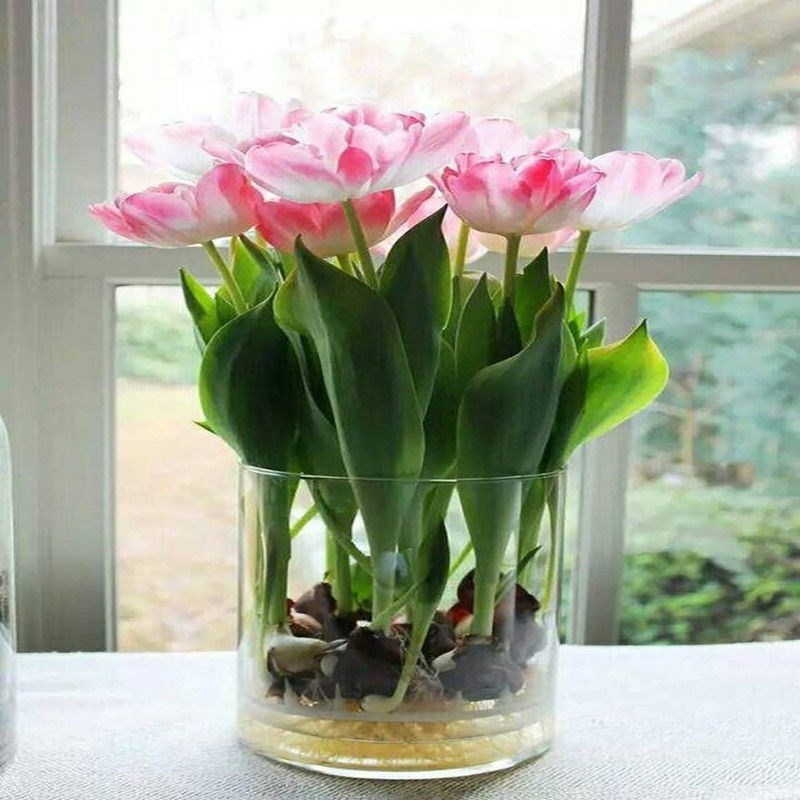 Factory Produced Wholesale Glass Flower Vase for Home Decor