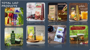 Shampooing Gel Herbal au Bambou Qualité Export Origine LA Certifié MSDS COA GMP Halal et Sans Cruauté Animale Conforme aux Normes Internationales Prêt à l'emploi - Product Image 2