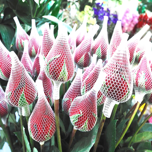 Aplicación al ramo de floristería Decoración floral 10cm Brotes de Rosa Protección Cubiertas de malla Red de brotes de flores - Product Image 1
