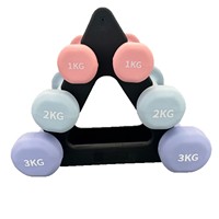 Juego de Mancuernas de Neopreno con Logotipo Personalizado, Diseño Hexagonal, Pesas de Hierro Fundido con Diversas Opciones de Color, Pesas de Pilates Grises