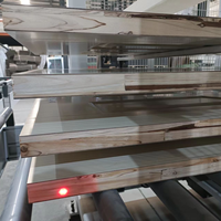 Machine de panneau de noyau de porte en bois de stratification RF à haute fréquence pour la fabrication de portes en bois
