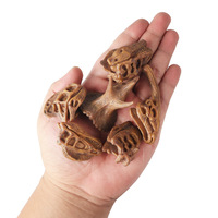 Jouets pour enfants transfrontaliers yxs, modèles de dinosaures simulés : Tyrannosaurus rex, Triceratops, Ceratops, Oviraptor archaeologica