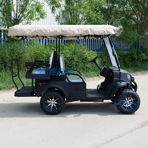 Carrito de Golf Eléctrico Popular de Litio 1+1 Negro con 4 Ruedas, Vehículo para Parques y Turismo al Aire Libre, Carrito de Golf Legal para la Calle - Product Image 6