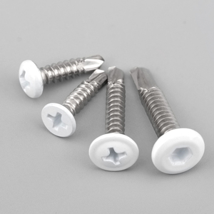 <span class=keywords><strong>Viti</strong></span> Autofilettanti a Testa Tonda/Svasata in <span class=keywords><strong>Acciaio</strong></span> <span class=keywords><strong>Inox</strong></span> 410, Laccate Bianche con Incavo Smussato, <span class=keywords><strong>Viti</strong></span> Autoperforanti - Product Image 6