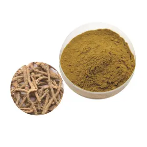 Hot Sales Wholesale Polygala Root/radix Polygala Tenuifoliae Extract 10:1