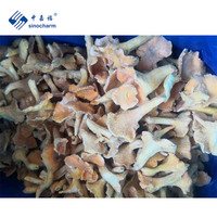 Sinocharm – nouvelle culture fraîche, prix de gros, couleur agréable, délicieuse et nutritive, Chantarelle entière congelée avec BRC-A