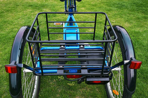 Tricycle électrique 24 pouces pour adultes, 350 watts, trois roues ouvertes, 36V, directement depuis l'entrepôt américain - Product Image 5