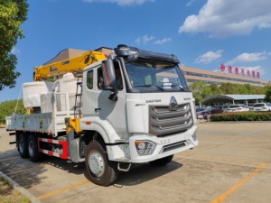 Howo 6x4 PS 12T Kran LKW LKW montiert Gerader Ausleger Kran Fracht LKW Kran nach Südamerika - Product Image 4