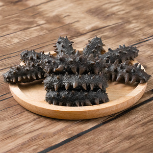 500g <span class=keywords><strong>Concombre</strong></span> de mer frais et séché naturel, riche en protéines, fruits de mer de haute qualité pour les acheteurs mondiaux, exportations internationales - Product Image 1