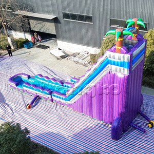 Toboggans aquatiques gonflables <span class=keywords><strong>de</strong></span> qualité commerciale, couleur marbre violet, palmier tropical, toboggan aquatique gonflable <span class=keywords><strong>géant</strong></span> pour adultes - Product Image 3
