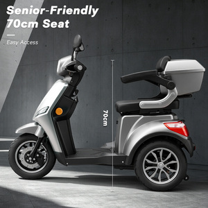 Scooter de Mobilité EEC à 3 Roues avec Port de Charge Unique, Tricycle Électrique, Phare à Haute Luminosité pour Personnes Âgées - Product Image 1