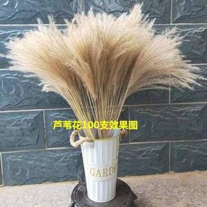باقة زهور طبيعية جديدة من القصب الخالد لتزيين النوافذ، زهور مجففة بتقنية ريفية صينية، شحن مجاني - Product Image 3
