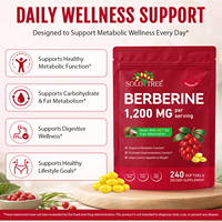 SOLOTREE Gélules de Berbérine HCl en vrac 1200mg par dose Huile MCT Complément alimentaire à base de plantes Soutien au bien-être métabolique