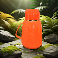 Mini Carafe Thermique Minimaliste pour Usage Domestique, Thermos en Verre 1000ML, Bouilloire de Style Occidental, Design Vintage et Élégant
