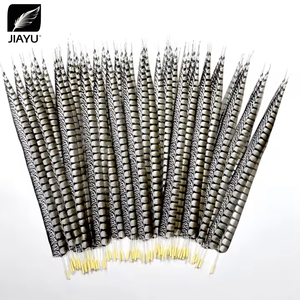 Usine En Gros 60-110cm Simulé Femelle Mâle <span class=keywords><strong>Faisan</strong></span> Queue DIY Chapeaux Accessoires Lady Amherst <span class=keywords><strong>Faisan</strong></span> Queue Plumes - Product Image 1