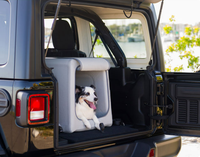 2024 Offre Spéciale pliable souple gonflable DWF voyage chien chenil extérieur Cage pour animaux de compagnie