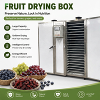 Machine industrielle de séchage des baies et des raisins, déshydrateur à air chaud en acier inoxydable pour myrtilles, canneberges et fruits