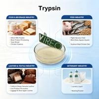 Poudre d'enzyme trypsin de qualité alimentaire 99% Vente en gros Supplément de trypsin Trypsin