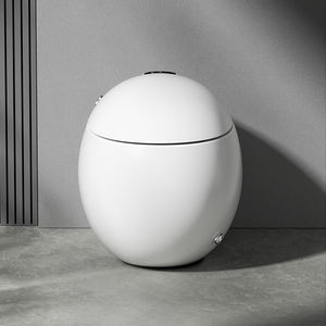 NOVO Lançamento Conjunto de Louças Sanitárias para Banheiro, Vaso Sanitário Inteligente de Peça Única, Sanitário Alongado com Bidê Feminino, Controle Remoto Incluído, S-Trap - Product Image 4