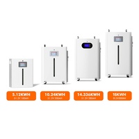 Batterie de stockage d'énergie solaire domestique 15 kWh CE FCC ROHS LiFePO4 51,2 V ≥8000 cycles Garantie 10 ans Stock UE Prise en charge OEM ODM