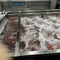 HRTY Hoge Efficiëntie Ondersteunende Aangepaste Fruit- en Groenteverwerkingsmachine voor Fabrieken
