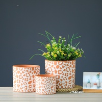 Fournitures de jardin Décor nordique coloré Imprimé léopard Pot de plantes succulentes Pots de fleurs en céramique Planteur en terre cuite