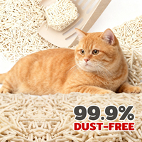 Litière pour chat naturelle OEM ODM personnalisée, sans poussière, biodégradable, de qualité alimentaire, 6L 7L, super absorbante, agglomération rapide