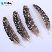 Plumes de Faisan Originales pour Sacs de Mariage, Accessoire de Vêtement à Faire Soi-Même, Aile de Poulet Naturelle, Plumage de Chouette d'Oiseau à Vendre