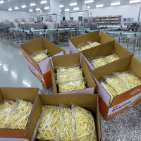 Ligne de production de frites surgelées entièrement automatique, machine industrielle de fabrication de chips de pommes de terre frites, machine à grignoter personnalisée pour l'usine