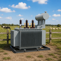Transformateur de puissance immergé dans l'huile triphasé S20 500 kVA à trois enroulements 50 Hz 60 Hz pour distribution et usage agricole