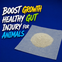 Probiotiques résistants à la chaleur Clostridium Butyricum 2,0x10(10) UFC/g Sac de 10 kg Certifié ISO22000 pour additif alimentaire pour animaux - Boost