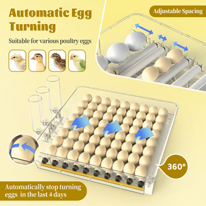 Incubateur <span class=keywords><strong>automatique</strong></span> WONEGG HHD 72 œufs Mini Chick Master avec plateau de retournement des œufs à vendre - Product Image 6