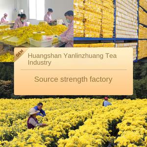 Crisantemo dorato crudo dimagrante tisana alla rinfusa speciale grande fiore giallo all'ingrosso Hotel <span class=keywords><strong>casa</strong></span> da tè Huangshan fonte fabbrica - Product Image 3