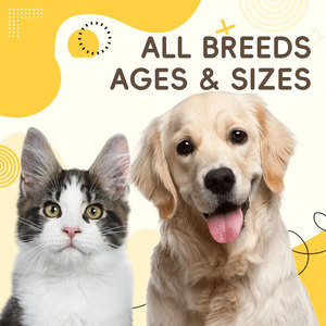 Supplément riche en protéines <span class=keywords><strong>pour</strong></span> chien Gain musculaire Puissance mâche avec acides aminés Soins de santé <span class=keywords><strong>pour</strong></span> animaux de compagnie Chat Multivitamine Probiotique <span class=keywords><strong>pour</strong></span> oiseaux Poissons - Product Image 2