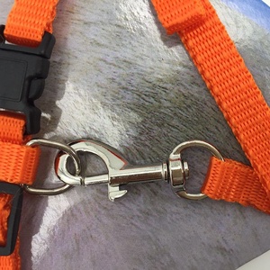 Collar y Arnés para Gatos, Correa Ajustable de Nailon, Arnés de Tracción para Mascotas, Collar para Gatitos y Perros, Productos para Gatos, Cinturón de Arnés para Mascotas - Product Image 6